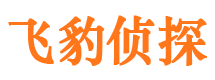 凤翔市场调查